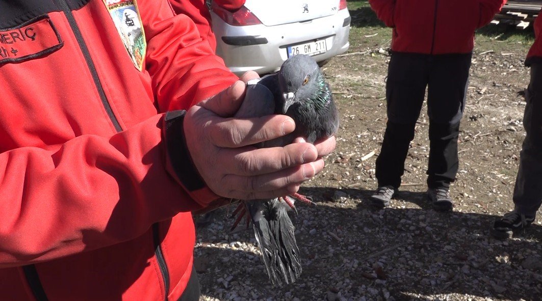 havalandirma-boslugunda-4-gundur-mahsur-kalan-guvercin-kurtarildi