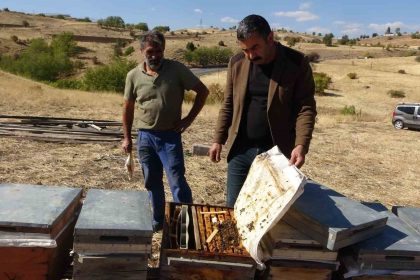 iklim-degisikligi-arilari-etkiledi-tuncelide-rekolte-900-tona-dustu