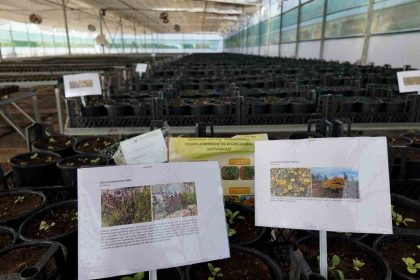 kurakcil-peyzaj-tasarimi-projesine-destek