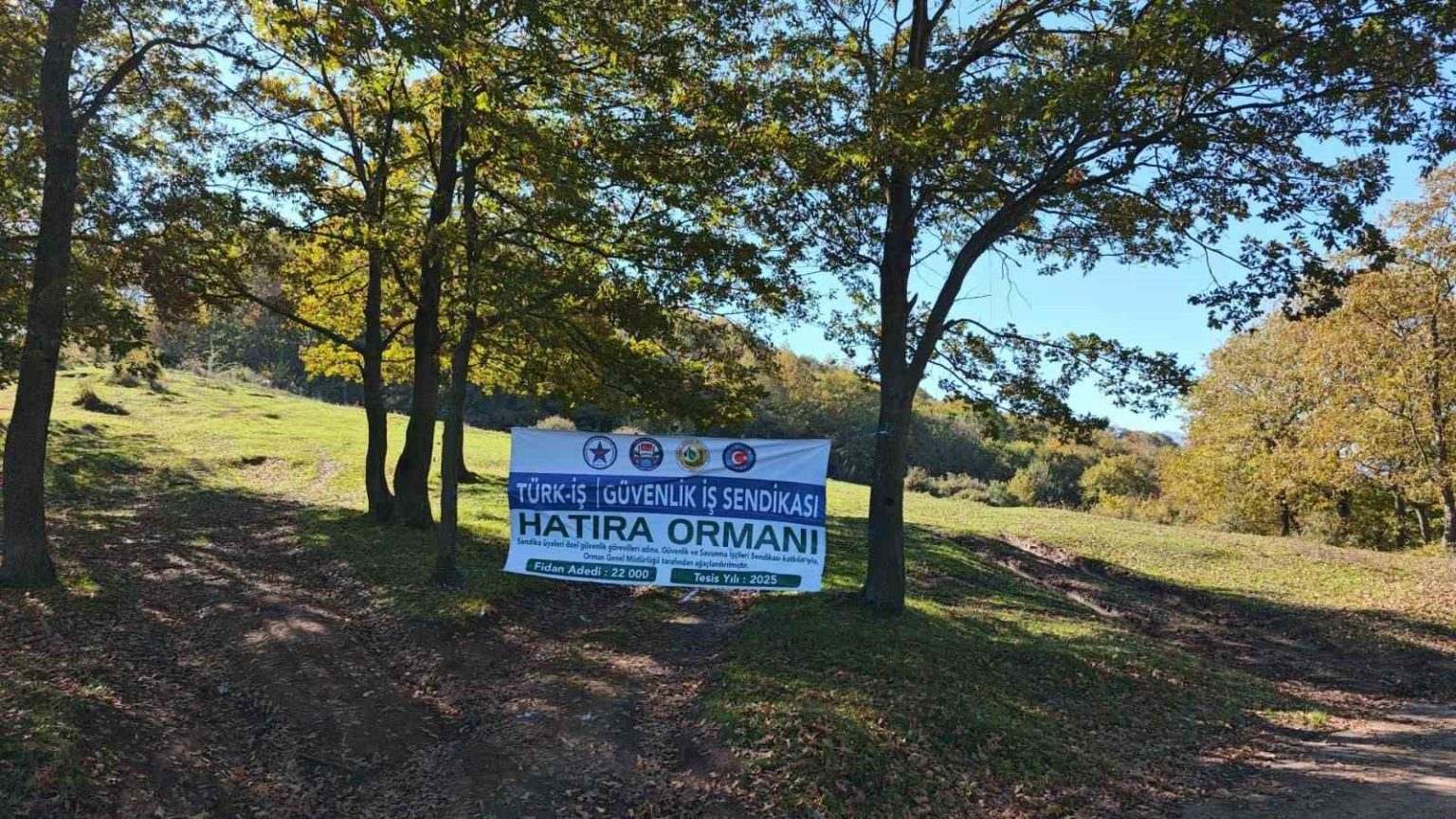 sakaryada-yesil-gelecege-katki-22-bin-fidan-toprakla-bulustu