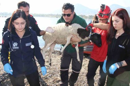 sel-felaketi-riski-tasiyan-izmirde-afaddan-tatbikat