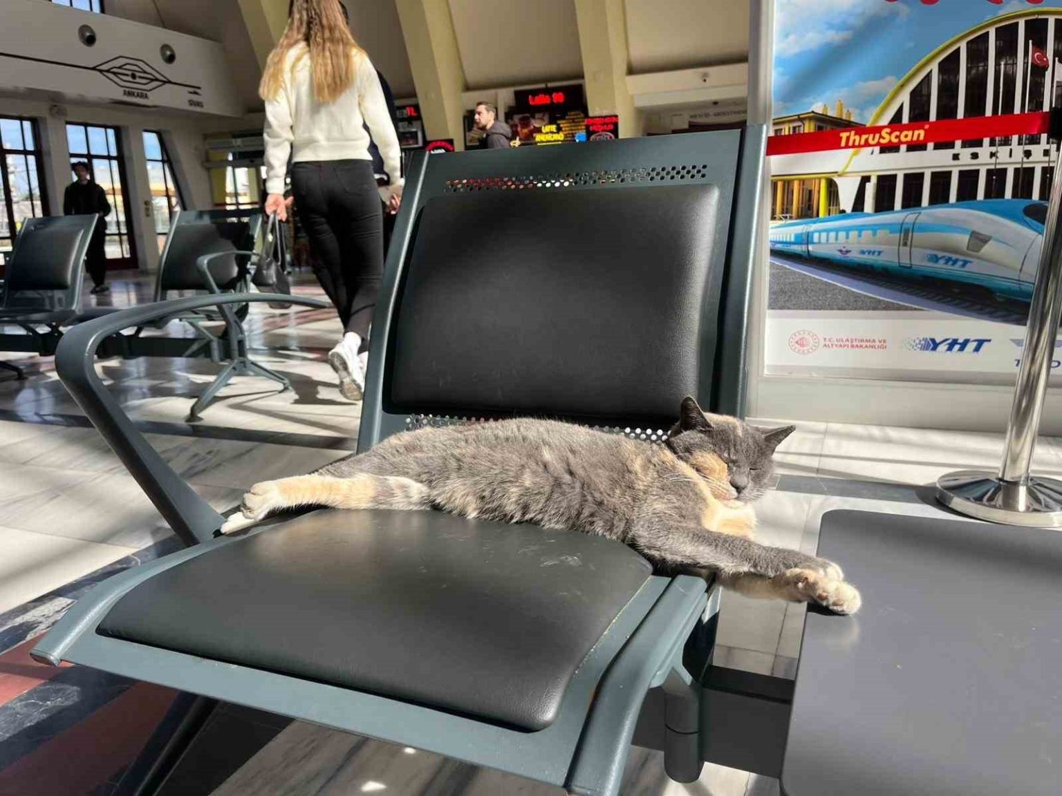 soguktan-kacan-patili-misafir-gar-koltugunda-gunes-keyfi-yapti