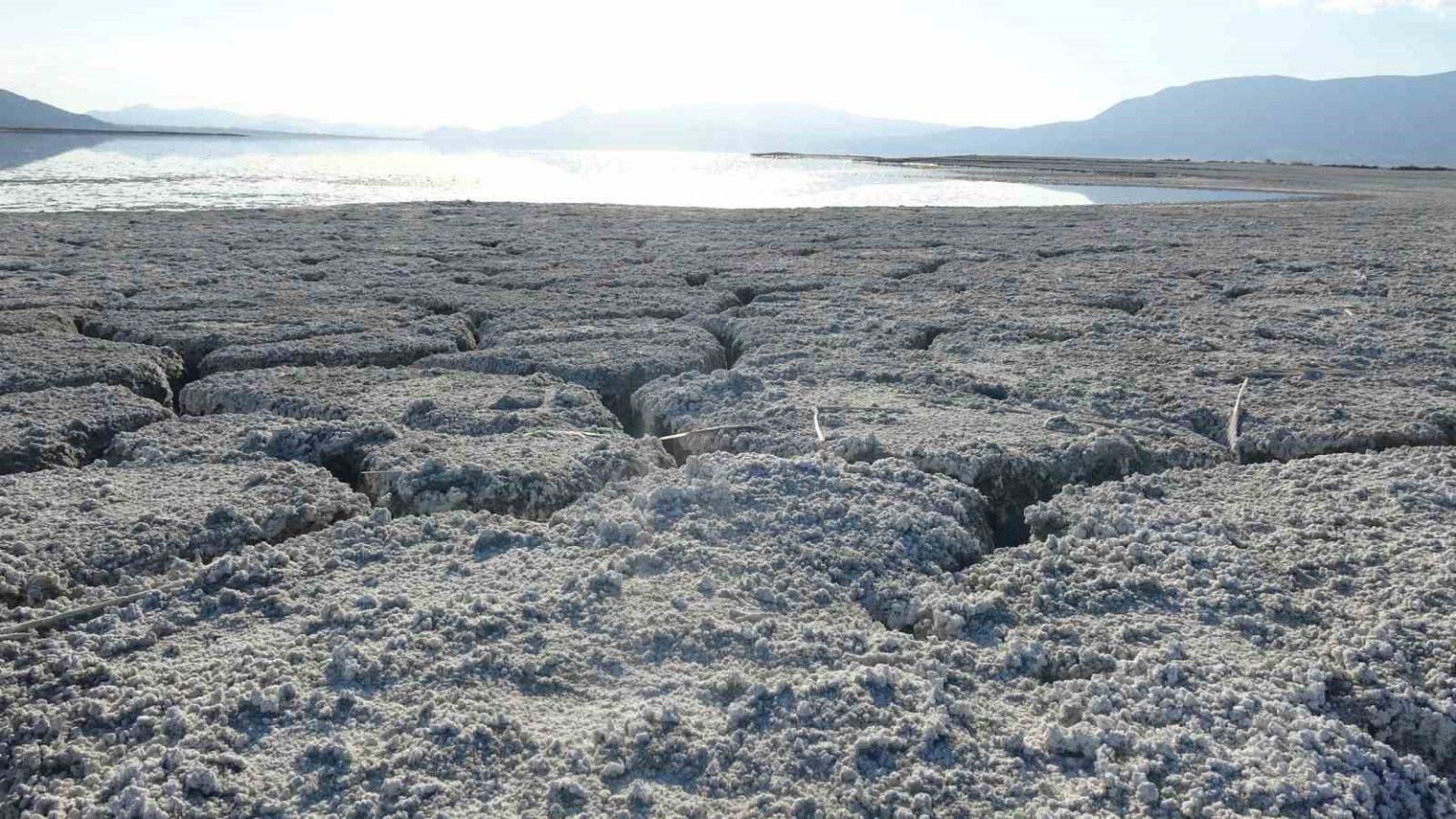 uzmanlardan-kritik-uyari-artik-gollerimizi-kaybetmek-uzereyiz