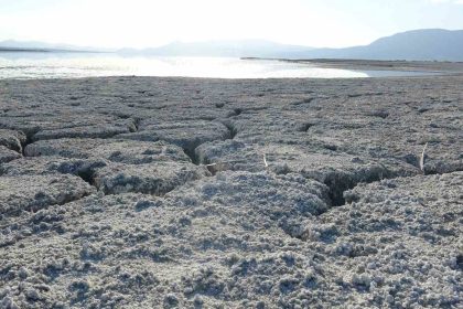 uzmanlardan-kritik-uyari-artik-gollerimizi-kaybetmek-uzereyiz
