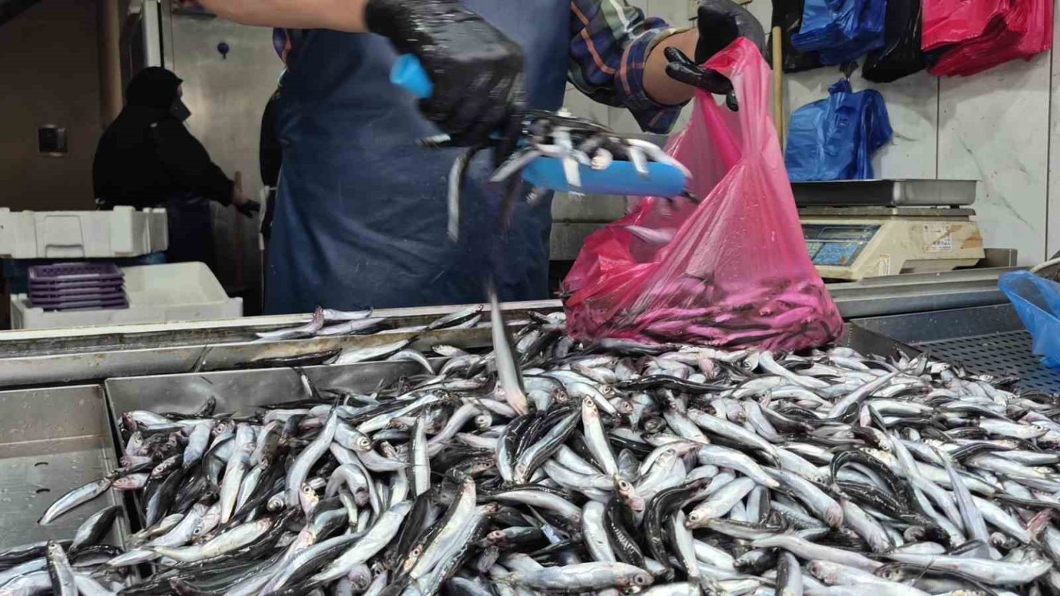 yaz-sicaklari-palamudu-vurdu-yerini-hamsi-aldi