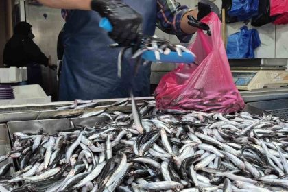 yaz-sicaklari-palamudu-vurdu-yerini-hamsi-aldi