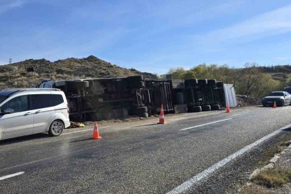 ankarada-devrilen-tirdaki-2-inek-telef-oldu