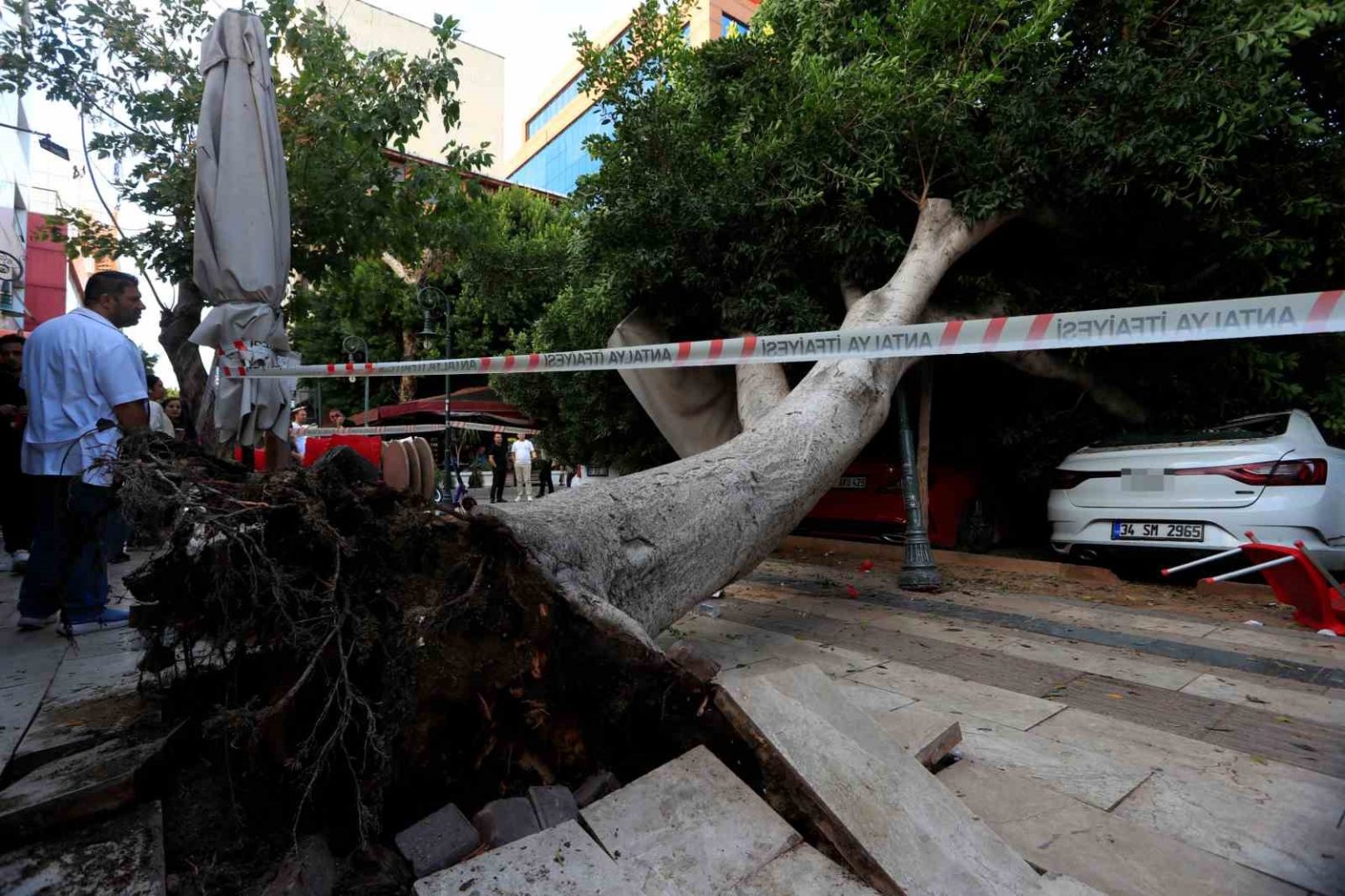 antalyada-faciadan-donuldu-araclarin-uzerine-devrilen-agacin-altinda-kalmaktan-son-anda-kurtuldu