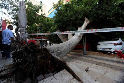 antalyada-faciadan-donuldu-araclarin-uzerine-devrilen-agacin-altinda-kalmaktan-son-anda-kurtuldu