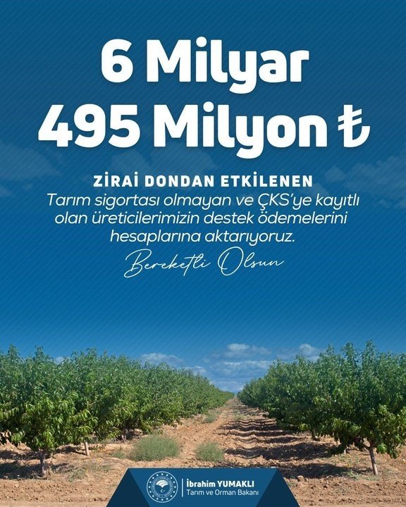 bakan-yumakli-ureticilerimize-toplamda-20-milyar-423-milyon-lira-zirai-don-destek-odemesi-gerceklestirdik