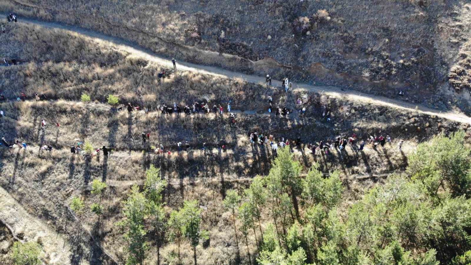 bayburtta-minik-eller-yesil-vatan-icin-fidan-dikti