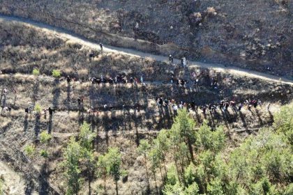 bayburtta-minik-eller-yesil-vatan-icin-fidan-dikti