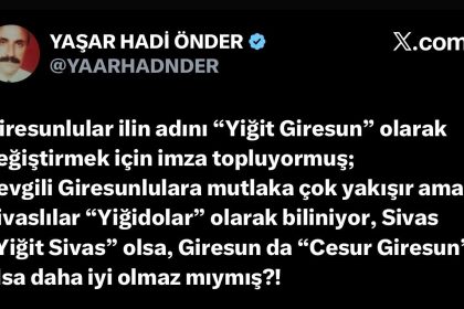 giresunun-yigit-hamlesi-yigidolarin-tepkisini-cekti