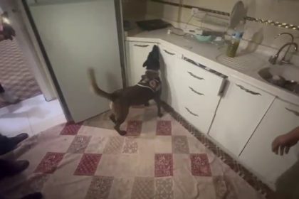 kasaya-zulalanan-10-kiloluk-uyusturucuyu-narkotik-kopegi-alis-buldu