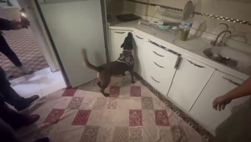 kasaya-zulalanan-10-kiloluk-uyusturucuyu-narkotik-kopegi-alis-buldu