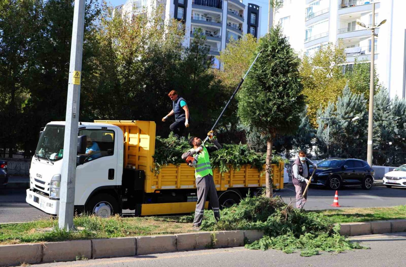 kent-genelinde-agac-budama-calismalari-basladi