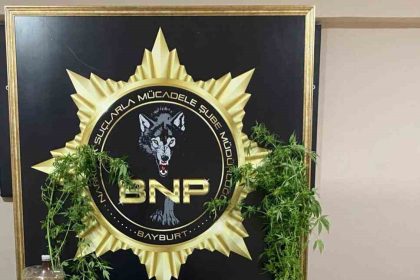 narkotik-kopegi-pablonun-hassas-burnu-esrari-ve-keneviri-yakalatti