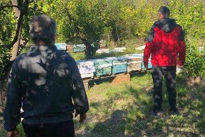 ortacada-arili-kovan-desteklemeleri-devam-ediyor