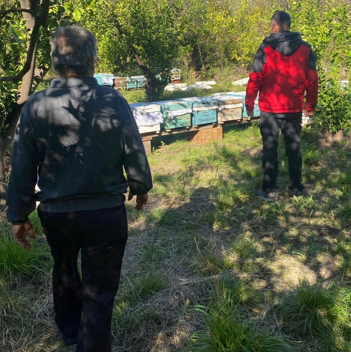 ortacada-arili-kovan-desteklemeleri-devam-ediyor