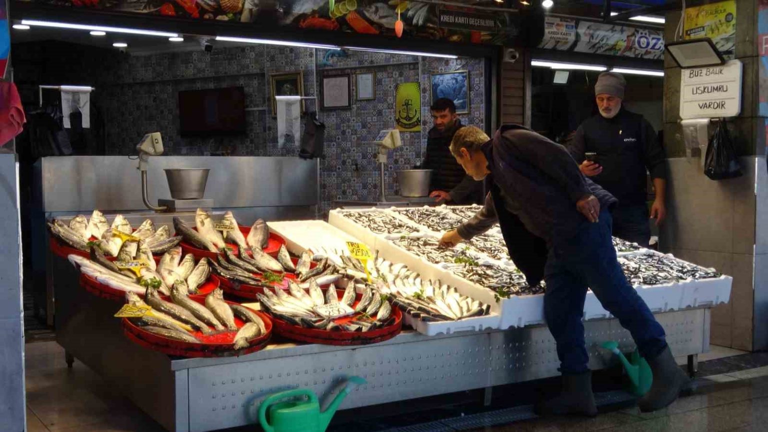 palamut-sezonu-baslamadan-bitti-umutlar-seneye-kaldi