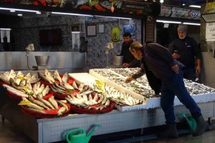 palamut-sezonu-baslamadan-bitti-umutlar-seneye-kaldi