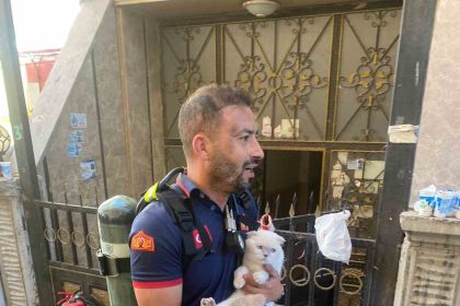 siirtte-yanginda-mahsur-kalan-kediyi-itfaiye-ekipleri-kurtardi