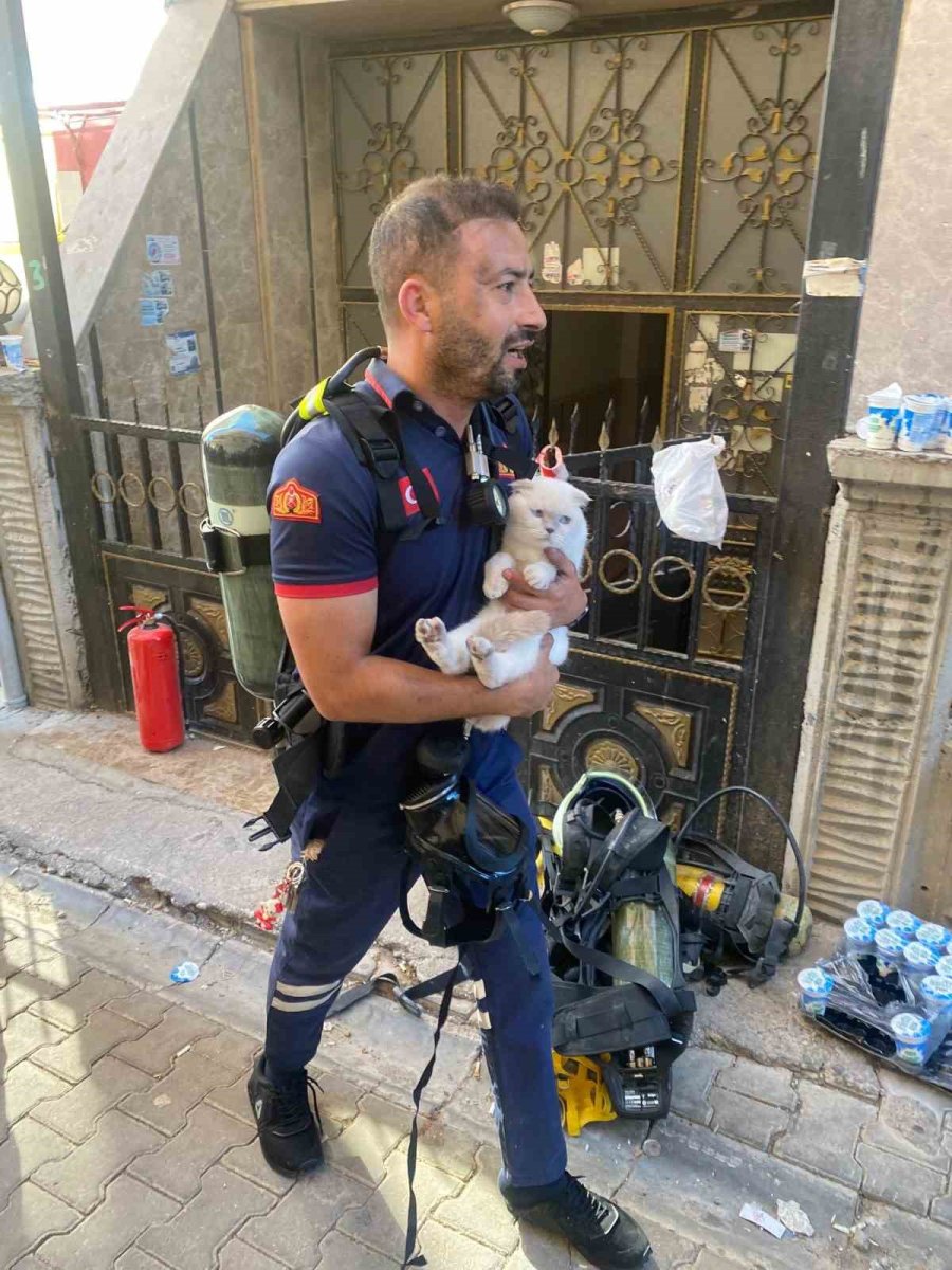 siirtte-yanginda-mahsur-kalan-kediyi-itfaiye-ekipleri-kurtardi