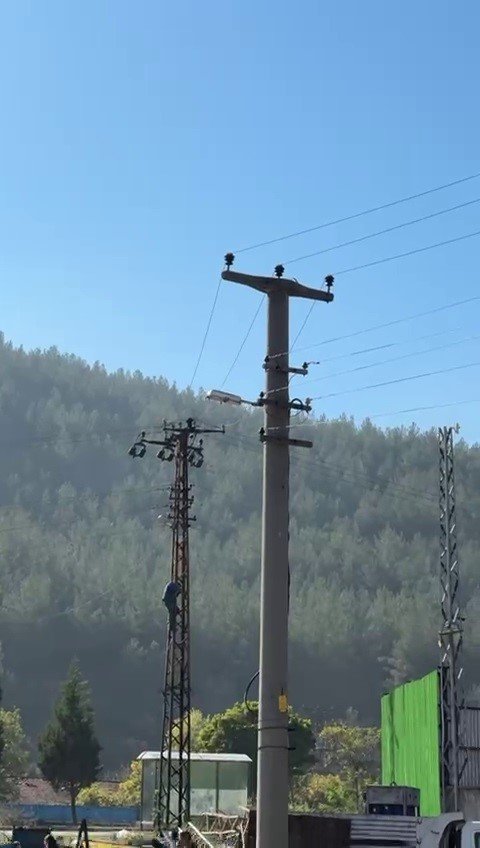 trafik-cezasina-ofkelenen-surucu-elektrik-diregine-cikti