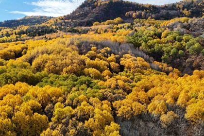 ankaralilarin-dogayla-bulusma-noktasi-karagol-tabiat-parki