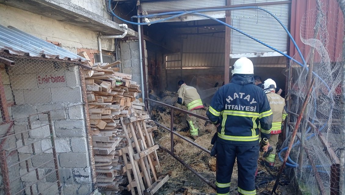 defnede-samanlik-yangini