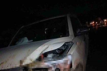 elazigda-kamyonet-suruye-carpti-30-kucukbas-hayvan-telef-oldu