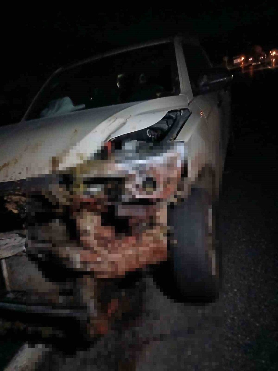 elazigda-kamyonet-suruye-carpti-30-kucukbas-hayvan-telef-oldu