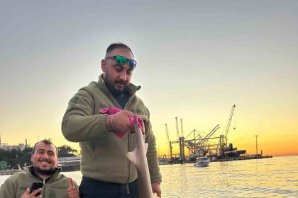 gemlik-korfezinde-balikcilarin-oltasina-kopek-baligi-takildi