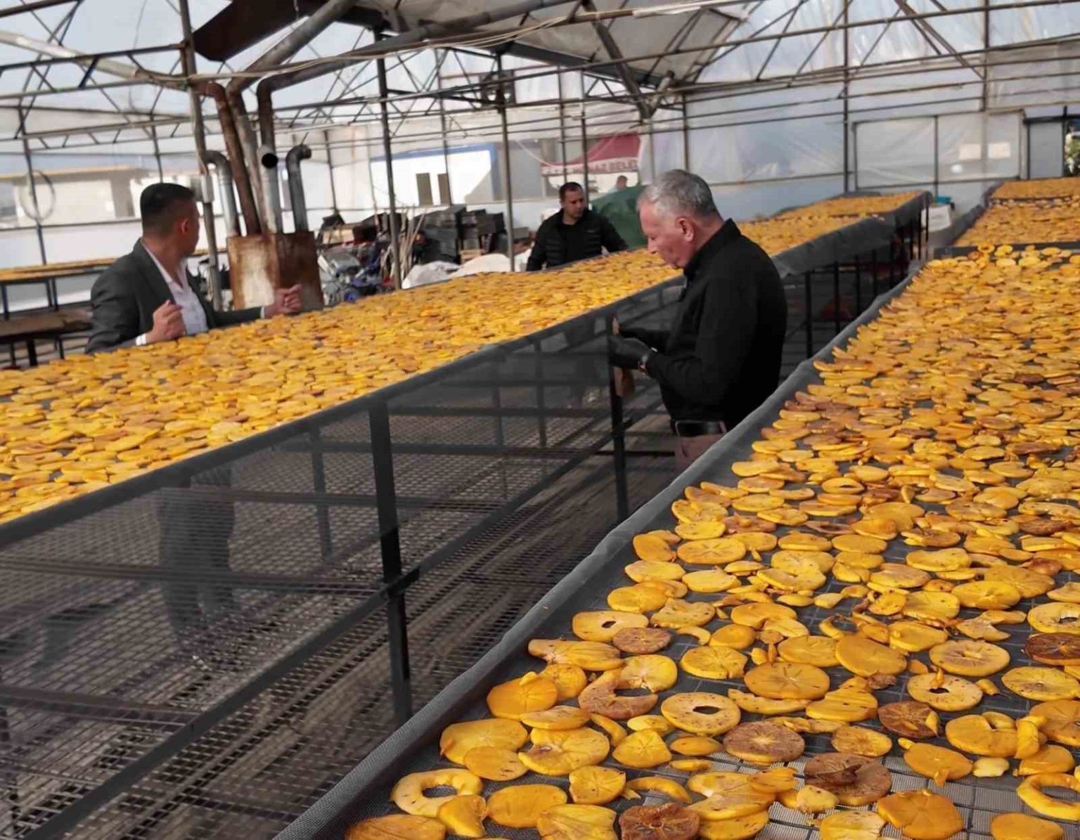 honazin-meshur-cennet-hurmasi-bu-kez-cips-olarak-damaklari-senlendirecek