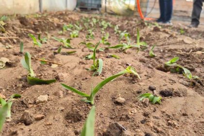 kadin-ureticilere-salep-fidesi-dagitildi