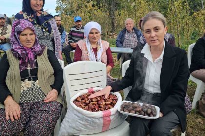 kaymakam-kan-kestane-hasadina-katildi