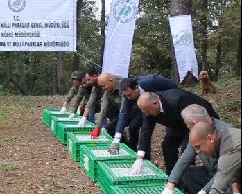 orduda-dogaya-200-sulun-salindi