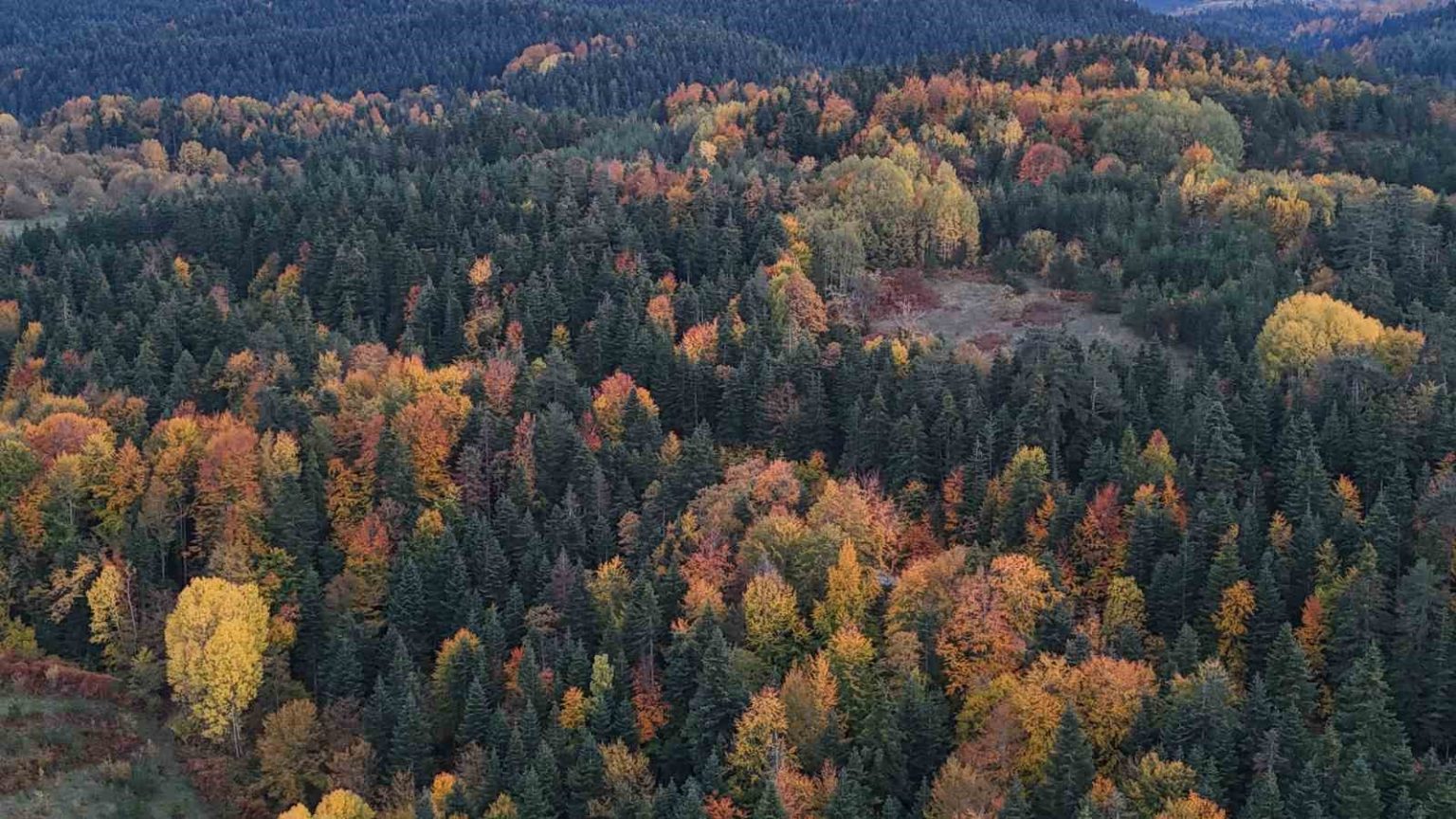 sinopta-sonbaharda-renk-cumbusu-yasaniyor