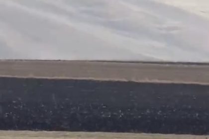 susuzda-kurt-surusu-goruntulendi