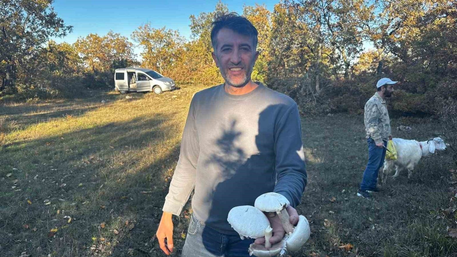 yagislar-sonrasi-ormanlarda-mantar-patlamasi-yasandi