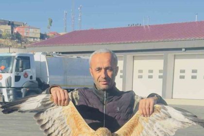 yuksekovada-bulunan-yarali-baykusu-tedavi-altina-alindi