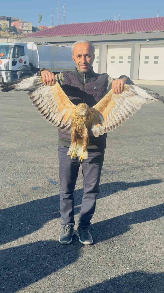 yuksekovada-bulunan-yarali-baykusu-tedavi-altina-alindi