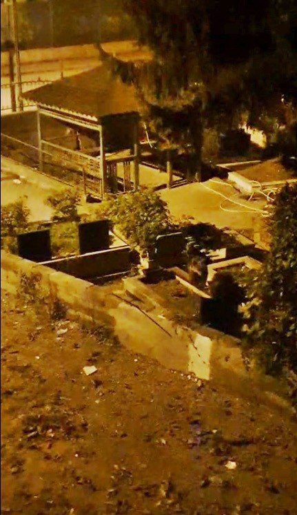 zonguldakta-mezarlikta-iki-ayi-yavrusu-goruldu