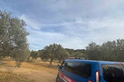 aliagada-zeytin-hasadi-basladi-guvenlik-onlemleri-artirildi