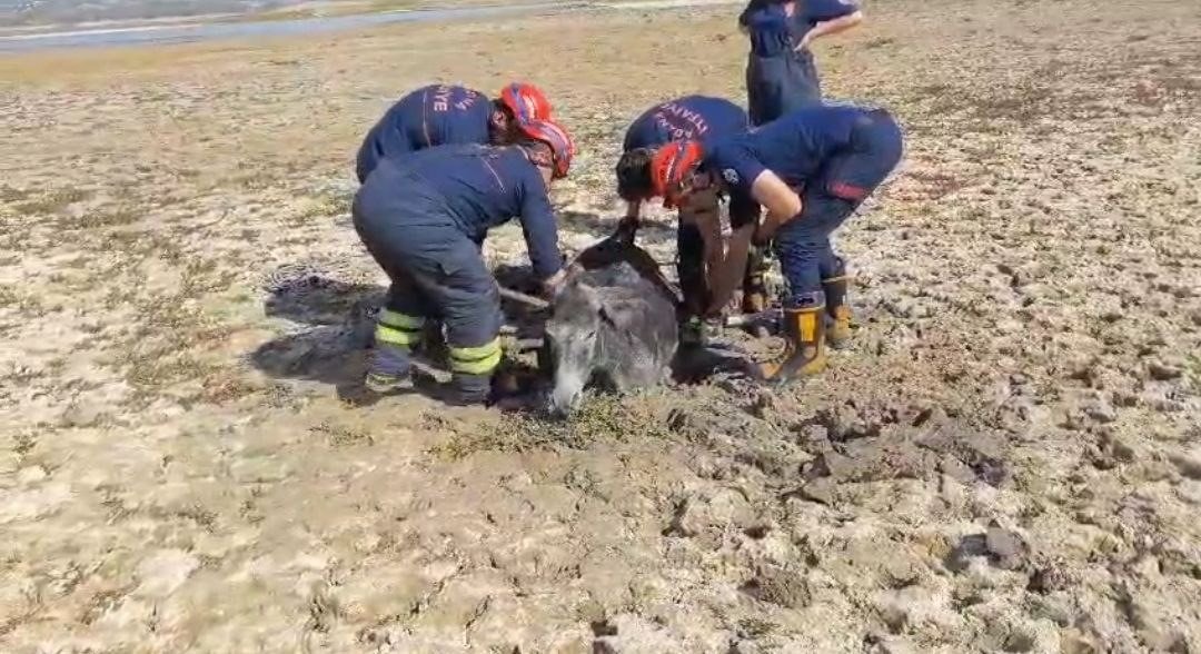 camura-saplanan-esegi-itfaiye-ekipleri-kurtardi