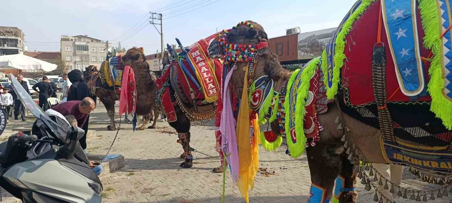 canda-havut-giydirme-hayri-duzenlendi