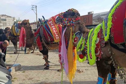 canda-havut-giydirme-hayri-duzenlendi