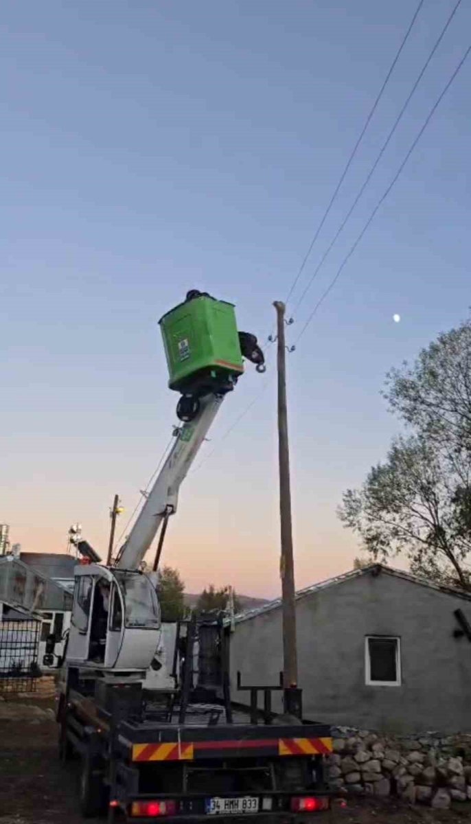 elektrik-direginde-mahsur-kalan-kediyi-ekipler-kurtardi