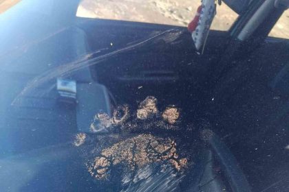 gumushanede-ayi-park-halindeki-araca-saldirdi