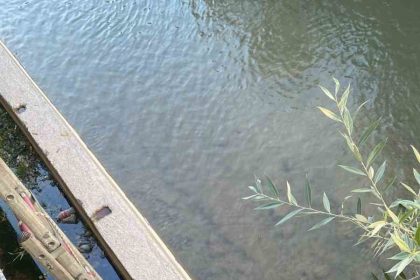 gumushanede-caya-dusen-yavru-kediyi-itfaiye-ekipleri-kurtardi